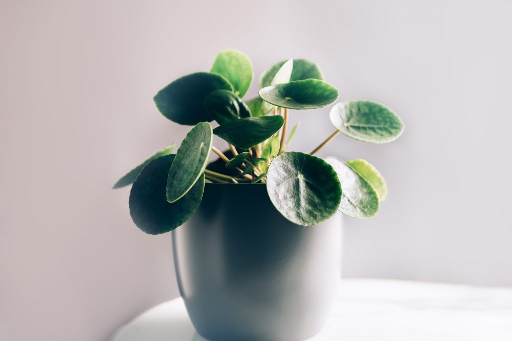 How to pick the right investment strategy