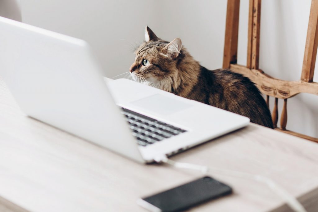 filing your tax returns online