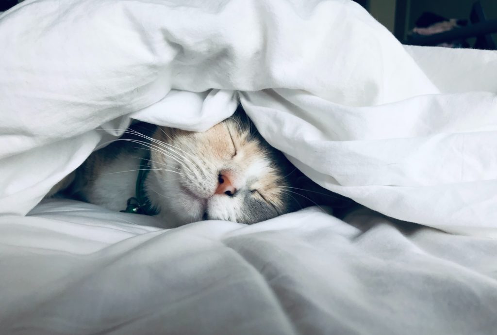 Get enough sleep